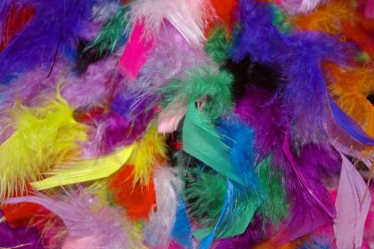 feather-1128204_1920