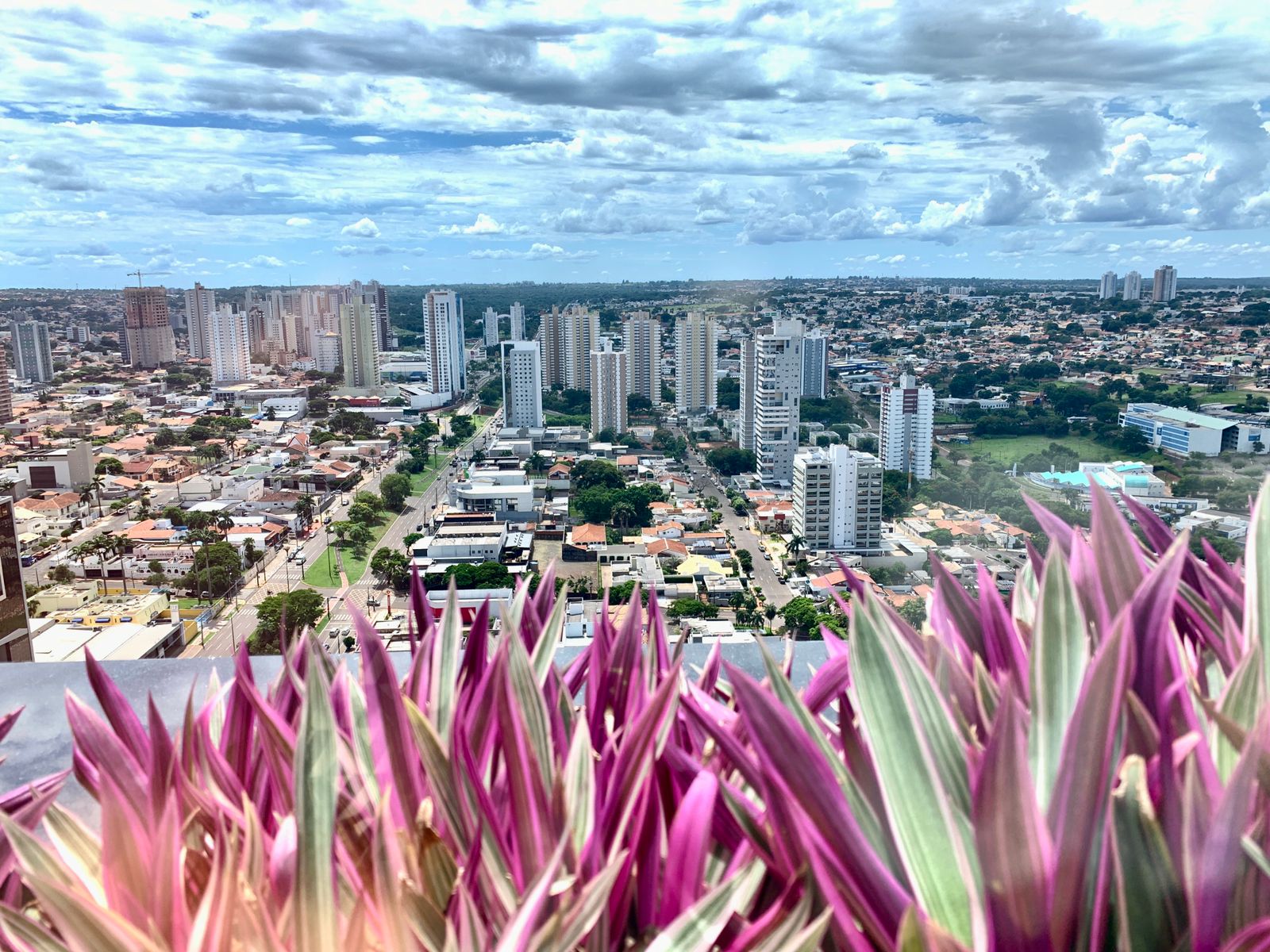 Comércio da Capital pode funcionar normalmente no feriado de 7 de setembro