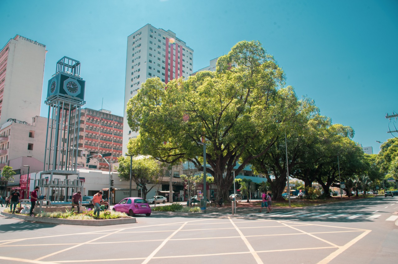 Pelo 5º ano consecutivo, Campo Grande celebra o reconhecimento como uma Tree City of the World